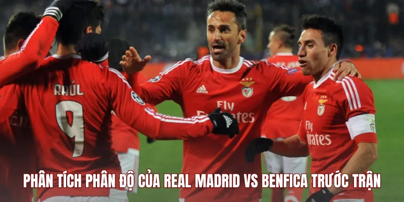 Phân tích phân độ của Real Madrid vs Benfica trước trận